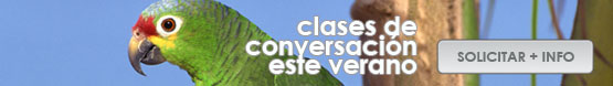 cursos de conversaci&oacute;n de verano