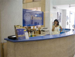 enforex entrada escuela