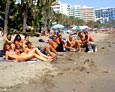 Enforex Marbella School